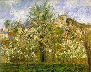 Kitchen Garden with Trees in Flower, Pontoise Camille Pissaro